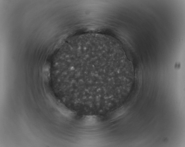 X0000112820127200909111332