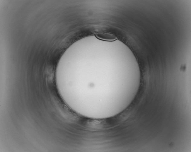 X0000112820129200909111332