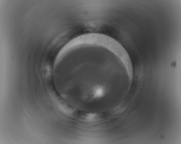 X0000112820130200909111332