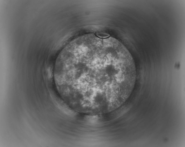 X0000112820131200909111332