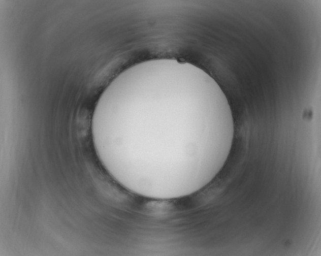 X0000112820133200909111332