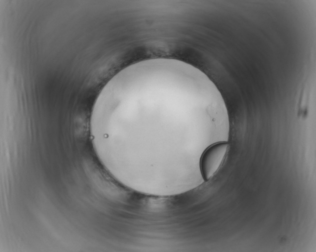 X0000112820134200909111332