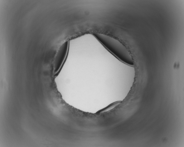 X0000112820144200909111331