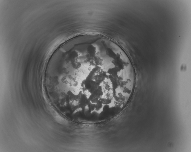 X0000112820145200909111331