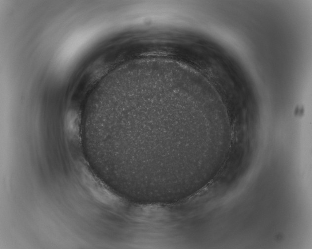 X0000112820146200909111331