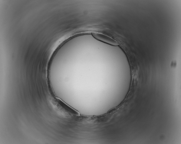 X0000112820148200909111331