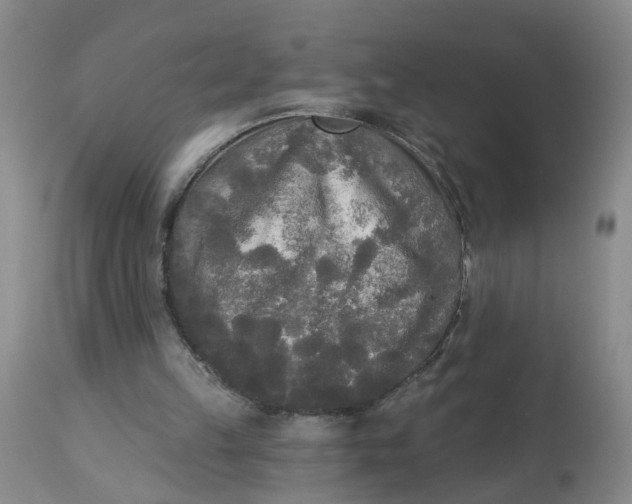 X0000112820149200909111331