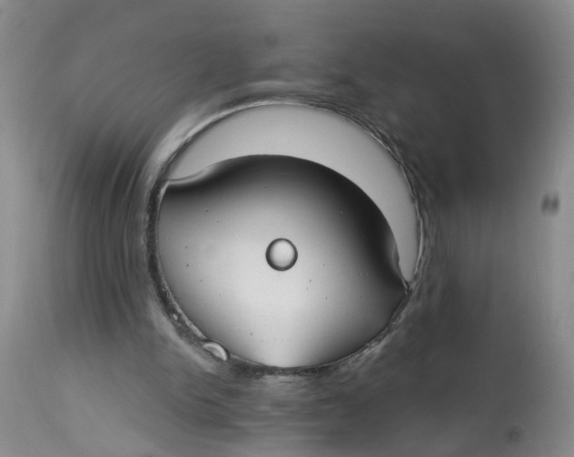 X0000112820150200909111331