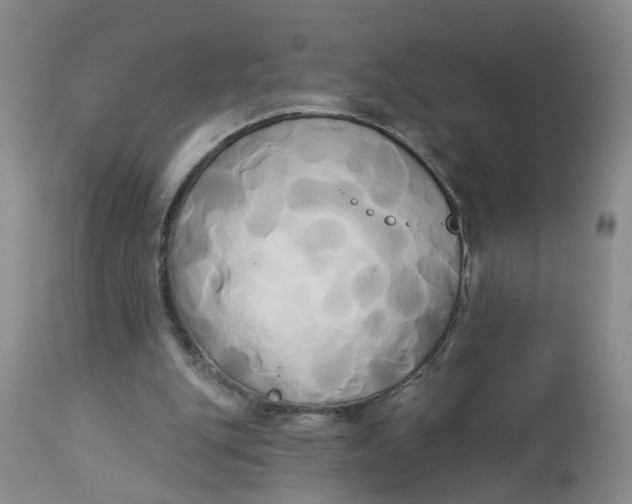 X0000112820151200909111331