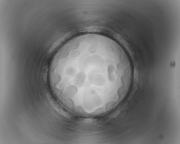 X0000112820153200909111331