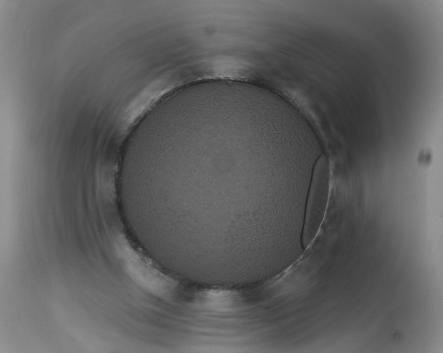 X0000112820154200909111331