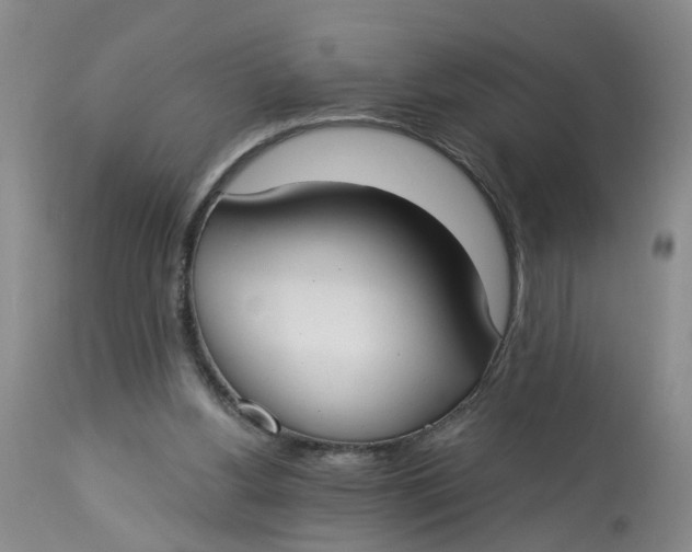 X0000112820156200909111331