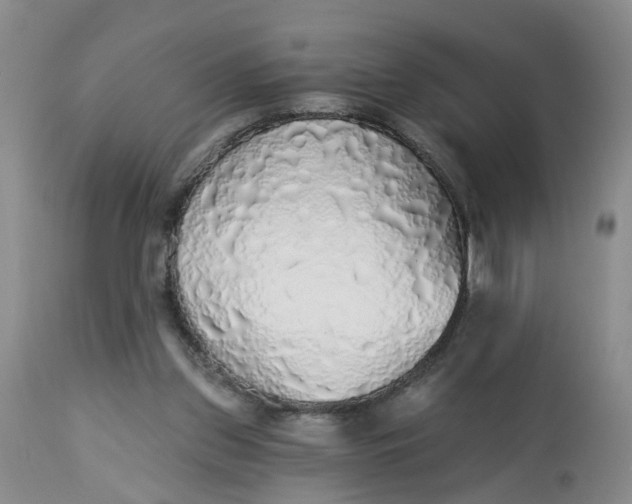 X0000112820157200909111331