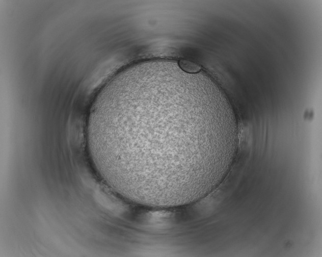 X0000112820158200909111331