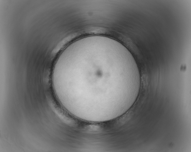 X0000112820159200909111331