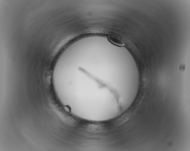 X0000112820160200909111331