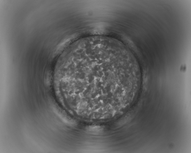 X0000112820161200909111331