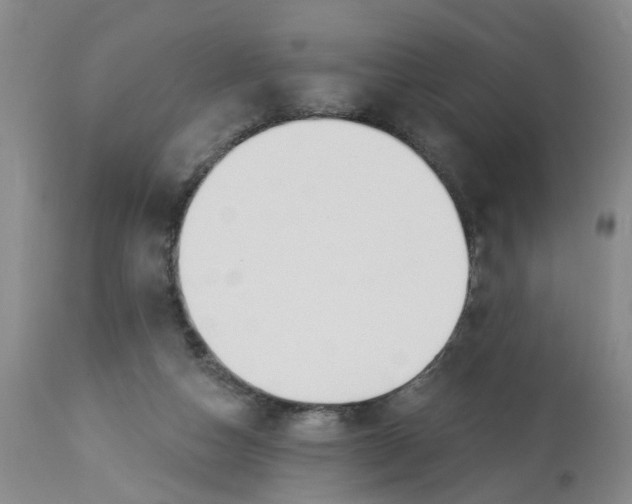 X0000112820162200909111331