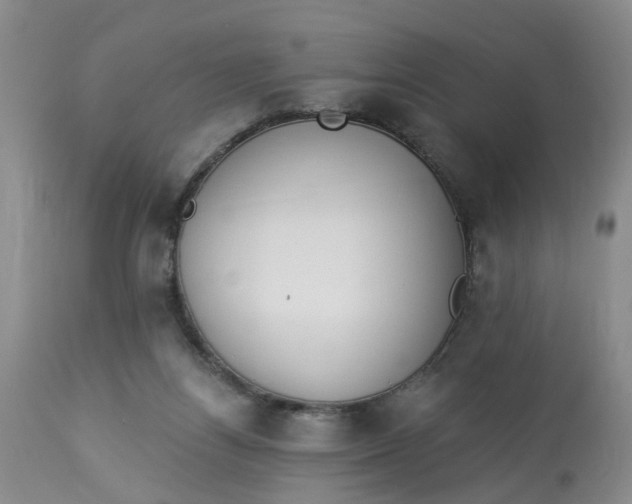 X0000112820164200909111331