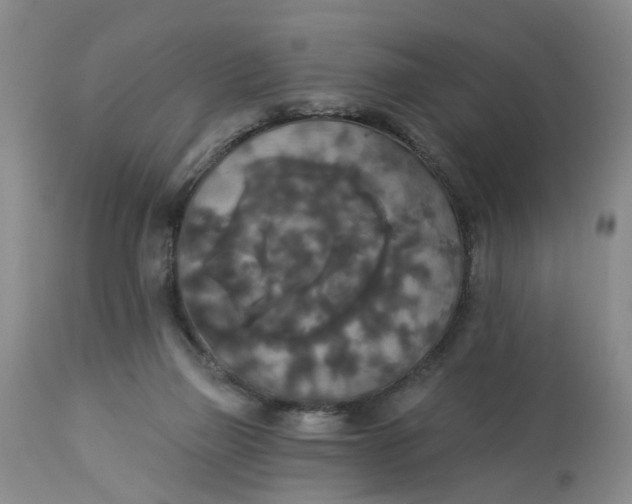 X0000112820165200909111331