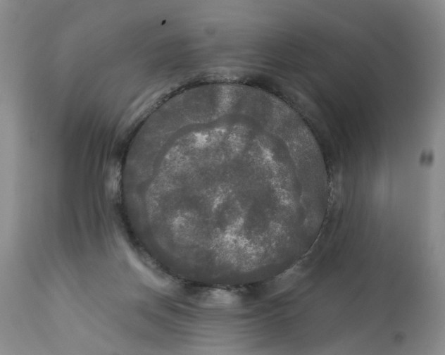 X0000112820166200909111331