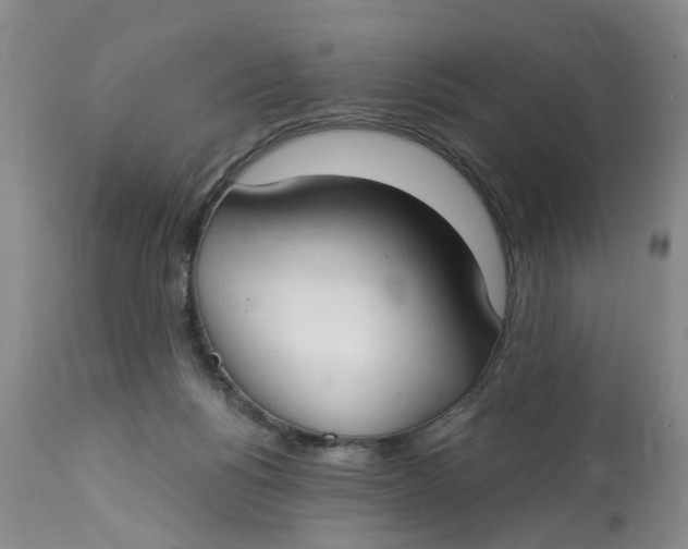 X0000112820168200909111331