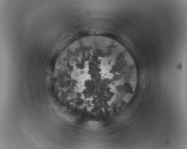 X0000112820169200909111331