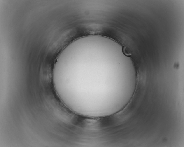 X0000112820170200909111331