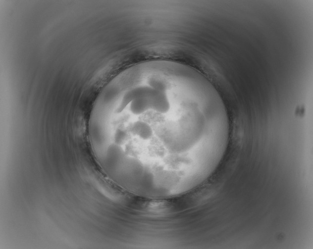 X0000112820173200909111331