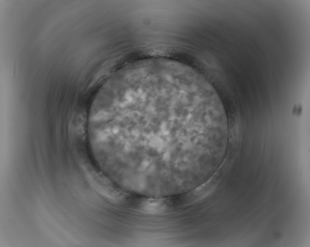 X0000112820175200909111331