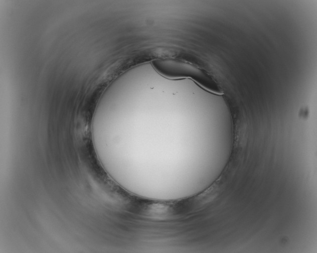 X0000112820176200909111331