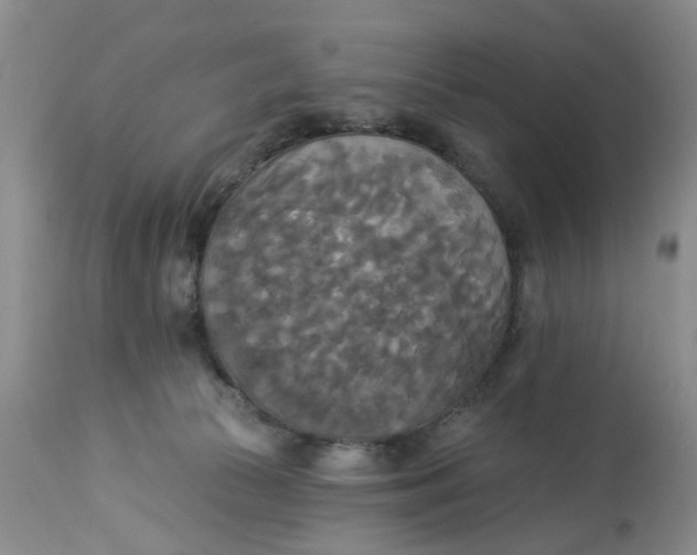 X0000112820177200909111331