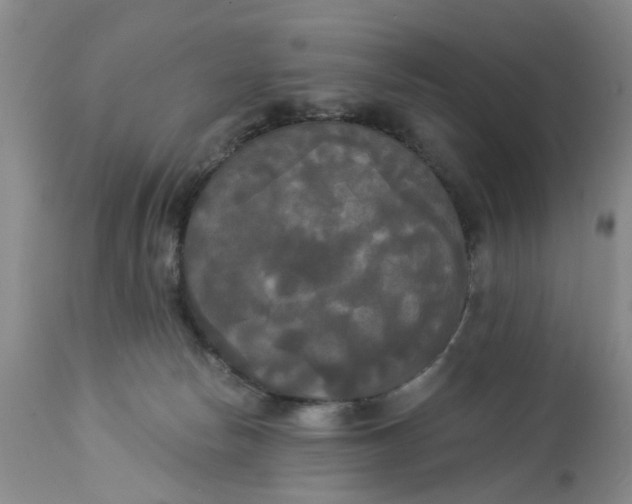 X0000112820178200909111331