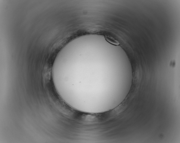 X0000112820180200909111331