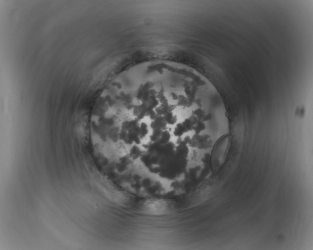 X0000112820181200909111331