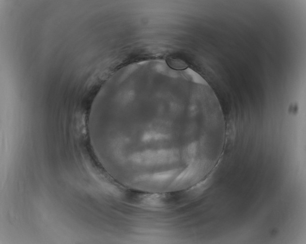 X0000112820182200909111331