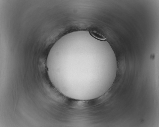 X0000112820184200909111331