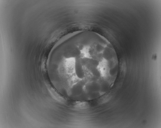 X0000112820185200909111331