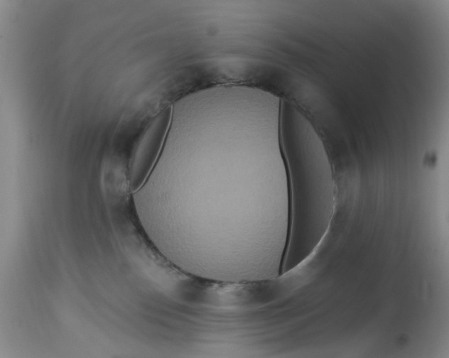 X0000112820186200909111331