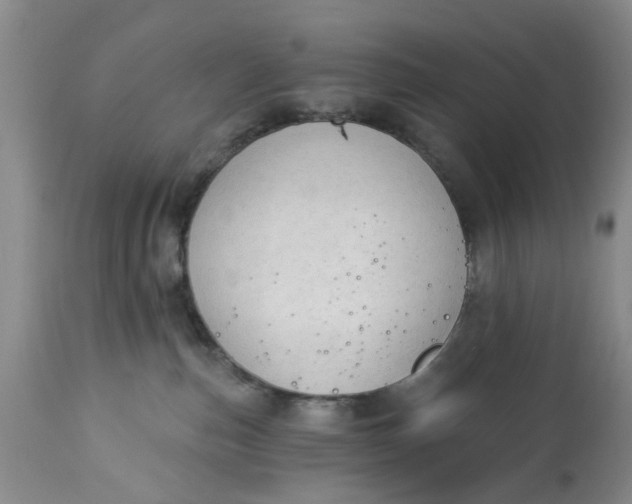 X0000112820187200909111331