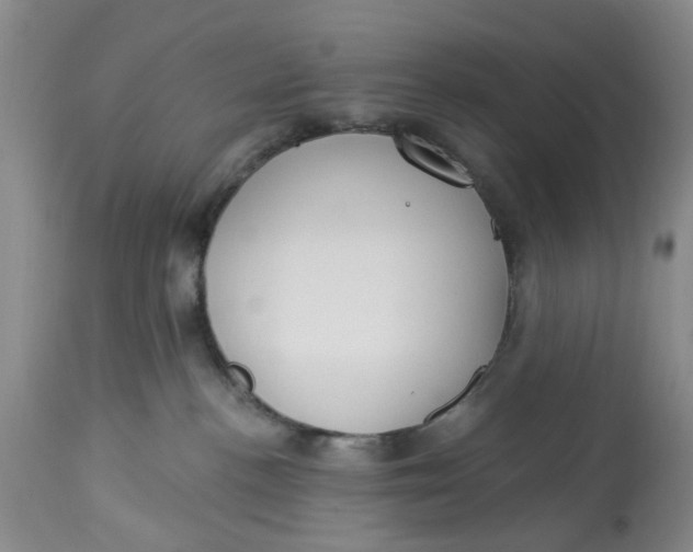 X0000112820188200909111331