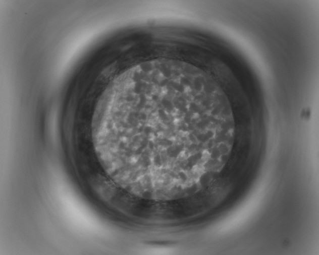 X0000112820189200909111331