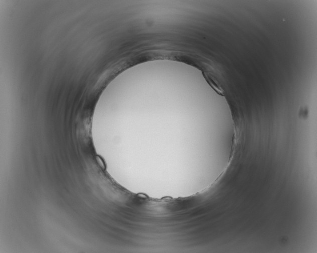 X0000112820190200909111331