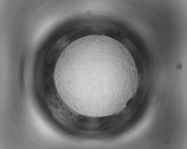 X0000112820191200909111331