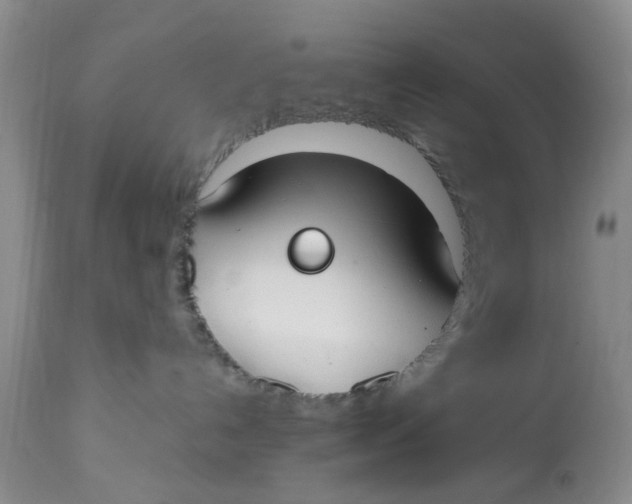 X0000112820192200909111331