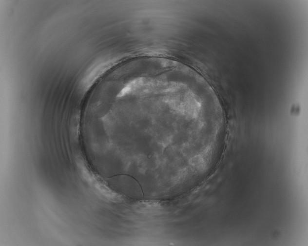 X0000112820194200909111331