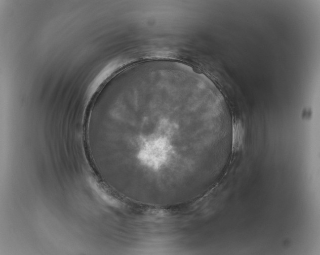 X0000112820195200909111331