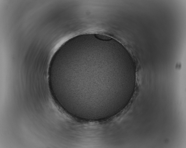 X0000112820196200909111331