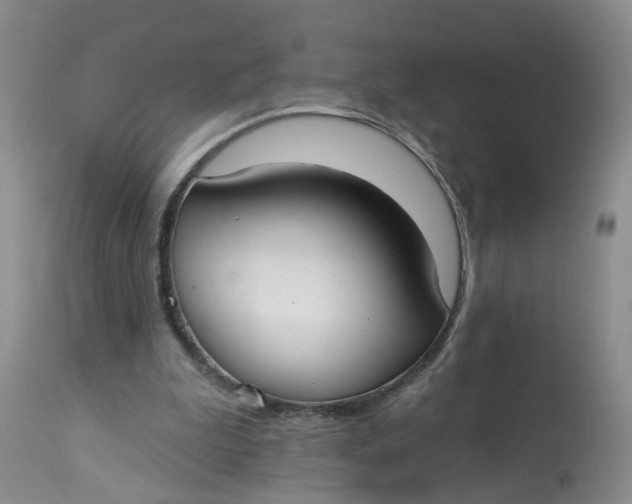 X0000112820199200909111331