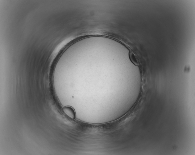 X0000112820200200909111331